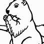 Groundhog Pictures To Color