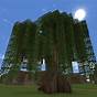 Willow Tree Minecraft