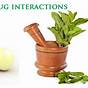 Drug Interactions With Herbs