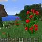 How To Grow Flowers In Minecraft
