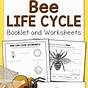 Life Cycle Of Bees Worksheet