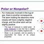 Co Polar Or Nonpolar Molecule Chart