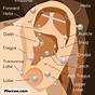 Ear Piercing Pain Chart Tragus