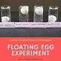 Can Eggs Float In Water Science Experiment