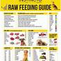 Dog Raw Feeding Chart