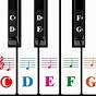 Piano Key Labels For Beginners