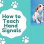 Dog Training Hand Signals Chart Pdf