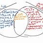 Federalist Vs Anti Federalist Chart