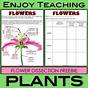 Flower Dissection Worksheet