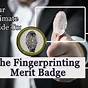 Fingerprinting Merit Badge Worksheet Answers