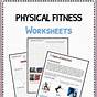 Exercise Physical Education Printable Worksheets
