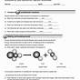 Endothermic And Exothermic Worksheet