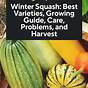 Winter Squash Varieties Chart