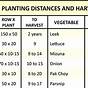 Vegetable Planting Distance Chart