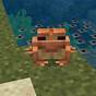 Tame Frog Minecraft