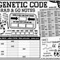 The Genetic Code Worksheet Answers