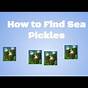 How To Find Sea Pickles In Minecraft