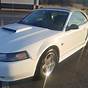 2004 Ford Mustang Owners Manual