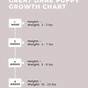 Growth Chart Great Dane