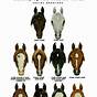 Horse Whorl Chart Meaning