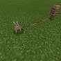 Rabbit Origin Minecraft