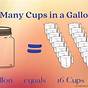 Gallons Quarts Pints Cups Presentation