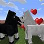 How To Feed Horses Minecraft
