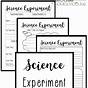 Free Printable Worksheets For Kindergarten Science