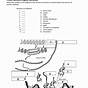 Protein Synthesis Diagram Worksheet