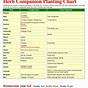 Herb Vegetable Companion Planting Chart