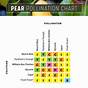 Plum Tree Pollination Chart