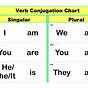 Verb Have Conjugation