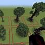 How To Grow 4x4 Trees In Minecraft