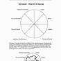 Self Care Wheel Worksheet