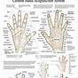 Pressure Points Hands Chart