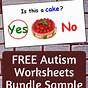 Wh Questions Autism Worksheets