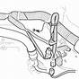 2004 Honda Crv Wiring Diagram