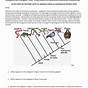 Cladogram Worksheet Data Table Answers