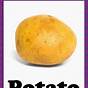 Potatoe Worksheet For Kindergarten