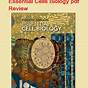 Essential Cell Biology 5th Edition Pdf Free Download