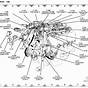 2000 Ford Mustang Engine Diagram