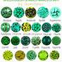 Blue Green Color Names And Shades Chart