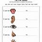 The Five Senses Worksheet For Kindergarten