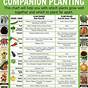 Vegetable And Herb Companion Planting Chart