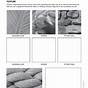 Texture Of Objects Worksheets