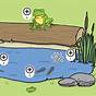Frog Life Cycle Animation