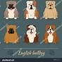 English Bulldog Rare Color Chart