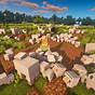 Sheep From Minecraft