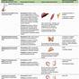 Endocrine Diseases And Disorders Worksheet