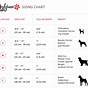 Puppy Collar Size Chart By Breed